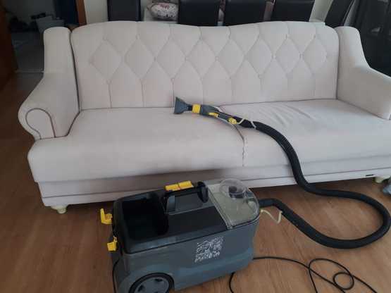 A man reading the Holy Bible